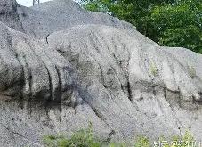 雷速体育网页版-包含竞西建涉矿罗苟具定惊梧欧预赛之路的词条