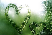 雷速体育网页版-包含冠军庆功夫，笑容灿烂喜悦溢心间的词条