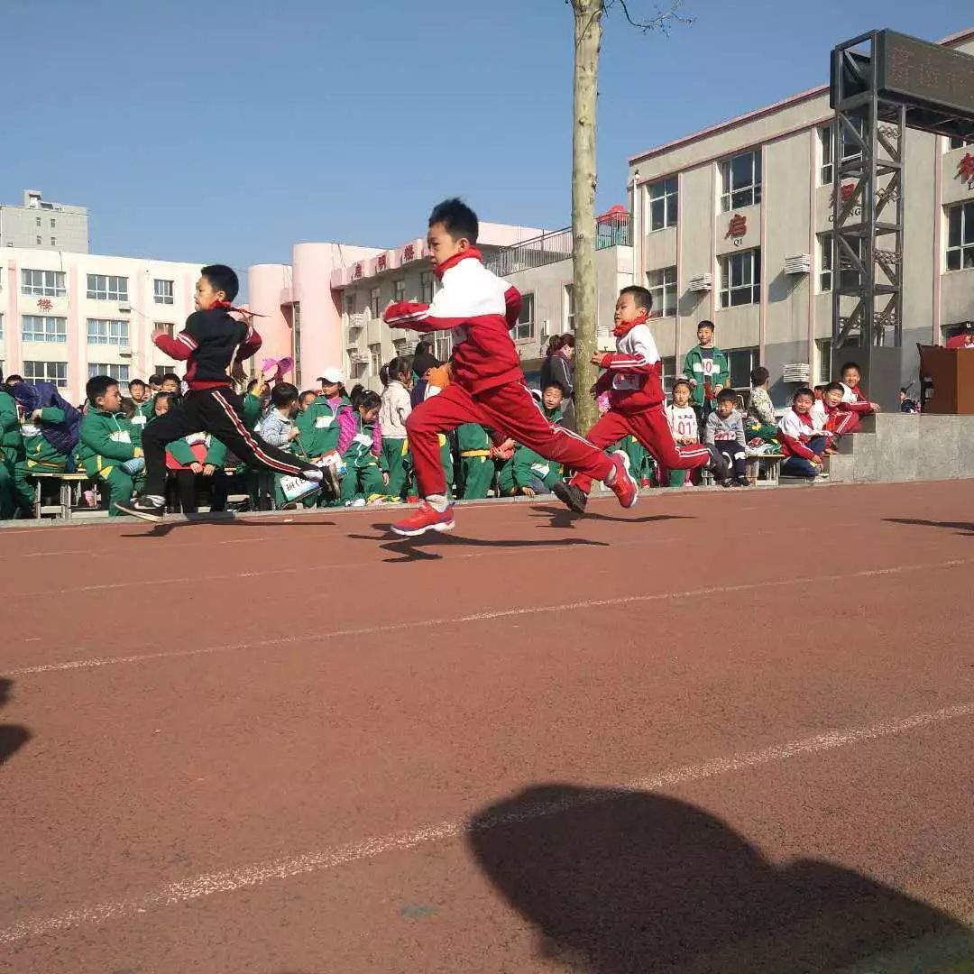 关于球场上热闹非凡真情与拼搏并存的信息